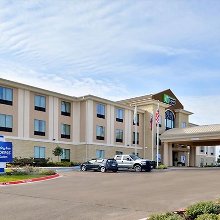 Holiday Inn Express And Suites Schulenburg By Ihg Kültér fotó